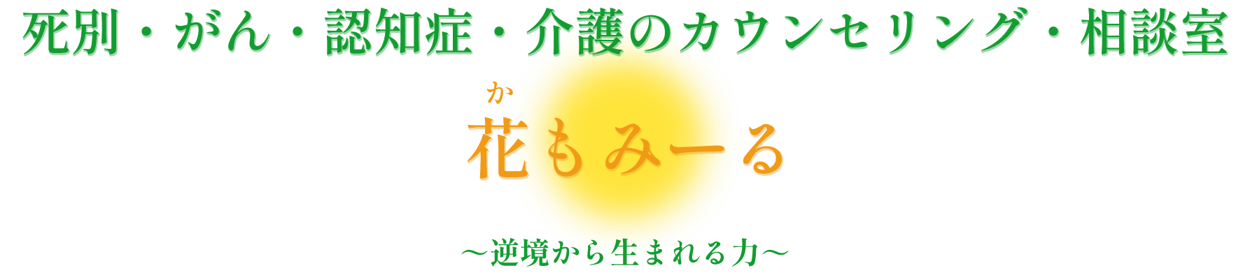 花もみーる