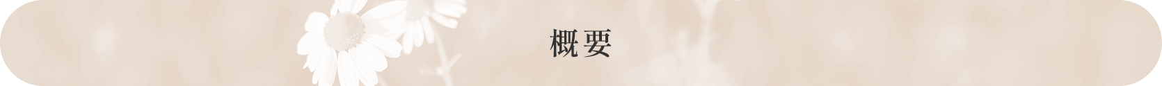 概要